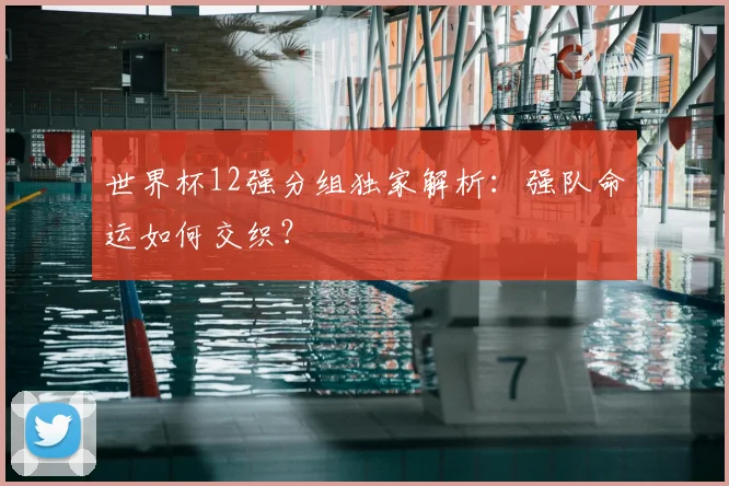 世界杯12强分组独家解析:强队命运如何交织?