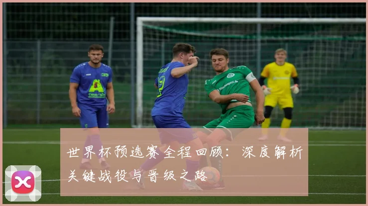 世界杯预选赛全程回顾：深度解析关键战役与晋级之路