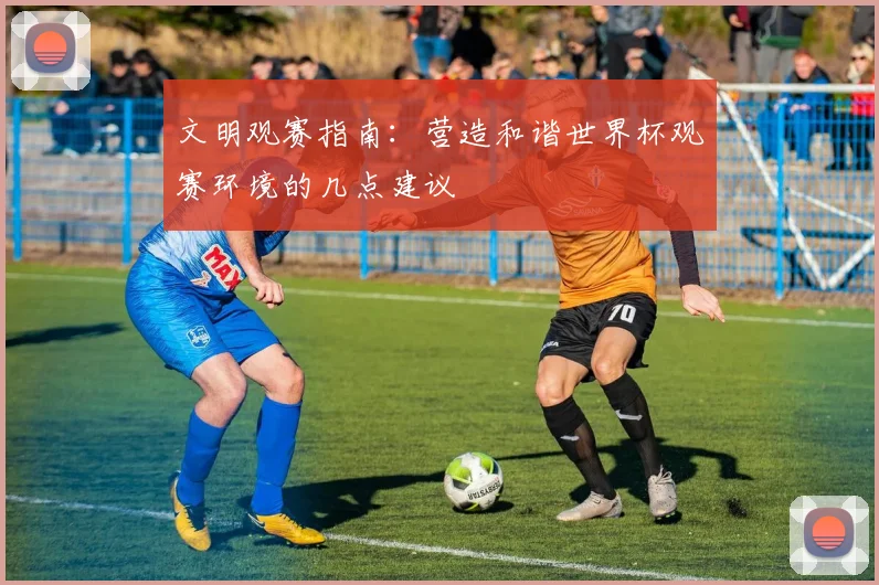 文明观赛指南：营造和谐世界杯观赛环境的几点建议