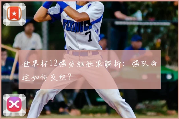 世界杯12强分组独家解析:强队命运如何交织?